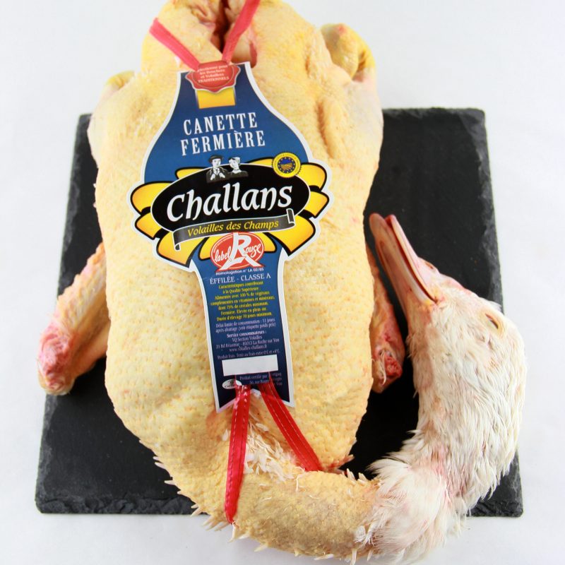 Canette de Challans effilé